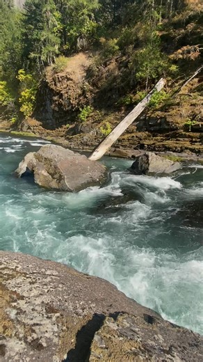 19K views · 170 reactions | Class 4 Pinball rapid on the North Umpqua River in southern Oregon. This gem is hidden in segment 2 and is named pinball for a reason. High score buys the next round! #AdventureElevated #northumpqua #pnwadventure | North Umpqua Outfitters | Facebook