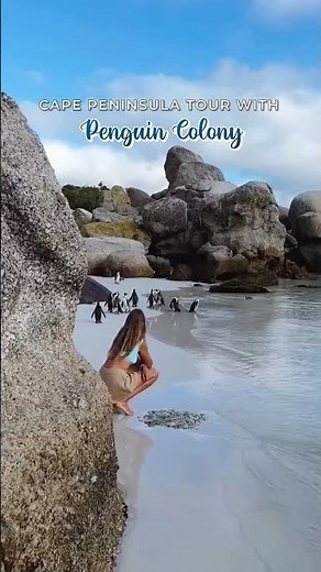 Explore the Beauty of Cape Town | Best Places to Visit, Things to Do & Travel Guide 2025