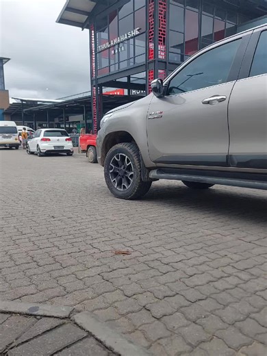 Explore Tsabush Buckridge's Unique Wildlife