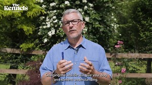 Acme dog whistle no.211.5, from England, ideal for dog training, robust material, standard frequency, loud and far-reaching