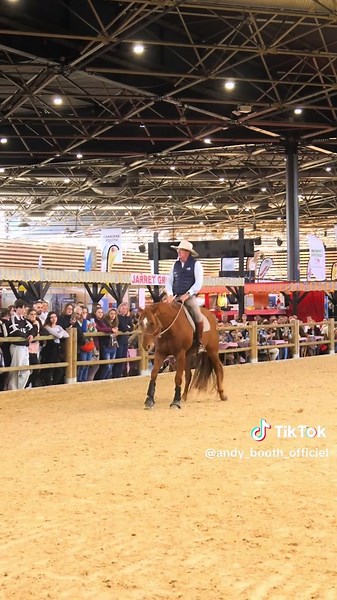 Équitation et Éducation au Sol à ÉQUITA LYON 2025