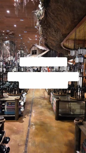 Bass Pro Shops on Instagram: "Check out our full lineup of all-new rods and reels for 2026!"