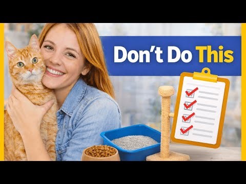Common Cat Care Mistakes New Owners Make (Avoid These!)