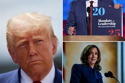 Trump responds to Kamala Harris’ DNC acceptance speech: ‘Why didn’t she do the things she’s complaining about?’