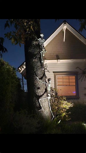 Trick or treat 2025 #halloween2025 #trickortreat | Sibling’sfunmoments