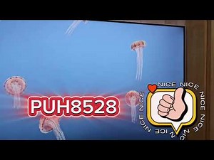 Philips 55PUH8528簡單分享