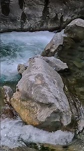 The sound of a river that heals #relaxing #nature #riverflows