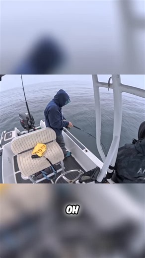 Hook2cook on Instagram: "Double hookup! Lingcod fishing with the donkey rig. Guaranteed keeper! The chub color always gets 'em. #Lingcod #Fishing #DonkeyRig #SaltwaterFishing #FishOn #BigFish"