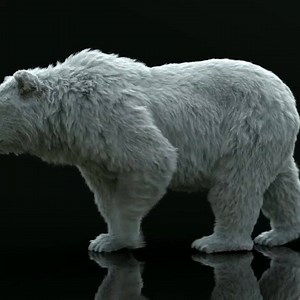 47K views · 617 reactions | Framestore Pictures and Director Tom Routson show us what it means to 'Protect Like a Mother' in this sweet Lysol spot. Happy Mother's Day to all the mama bears out there. https://www.framestore.com/work/protect-mother | Framestore | Facebook