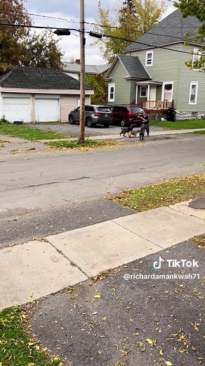 Woman attacked by dogs screaming for help 😞 | dogs