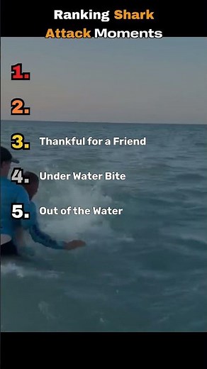 Ranking Shark Attack Intensity #ocean #wildlife #terrifying