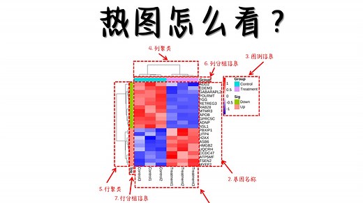 什么是热图？手把手教你看懂热图