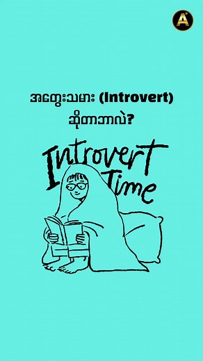 Understanding Introverts: Traits and Insights