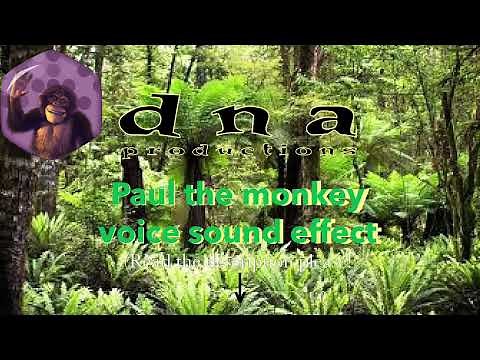 DNA productions Paul The Monkey Voice sound effect (free to use) (Read the description please!)