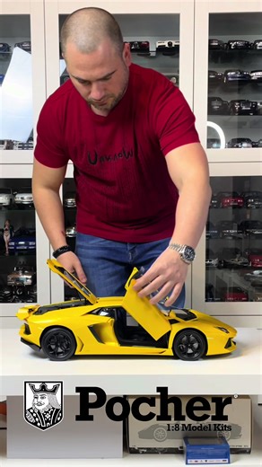 AC Collection pe TikTok