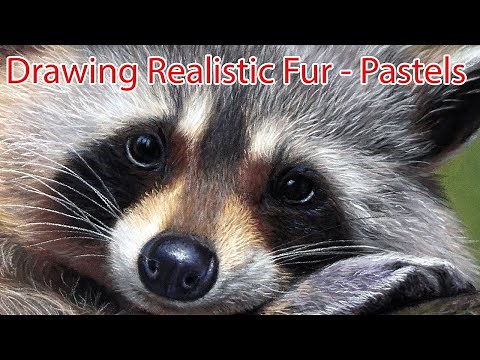 Mastering Fur Details With Pastel Pencils - Jason Morgan Wildlife Art Tutorial | JasonMorgan.co.uk