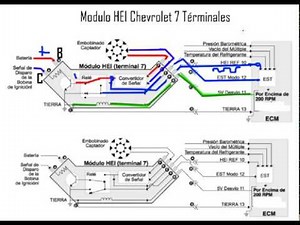 Modulo Chevrolet 7 Terminales