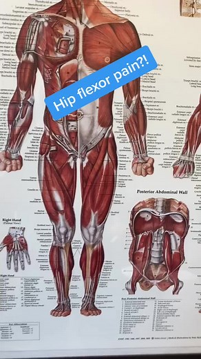 Hip Flexor Pain Relief: Effective Exercises to Alleviate Discomfort