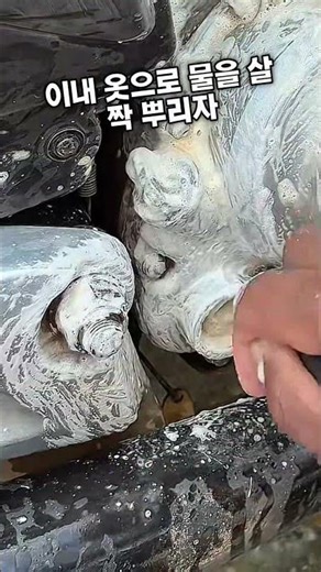 Deep Cleaning Secrets Revealed! Engine Cleaning Tips