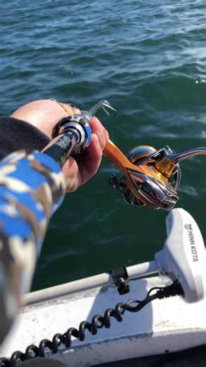 Fishing Tips for Lake Macquarie: Catching Jewfish