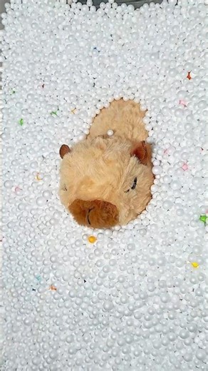 Capybara and labubu #capybara #capybarasong #capybaraadventures #capybaraworld #labubuviral #labubu