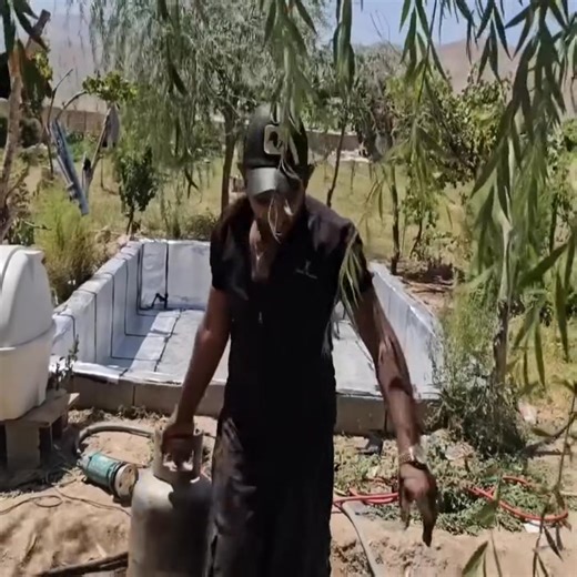 Emotional Conflicts： The Second Wife and Her Feelings Towards the Legend | Big Tuna Fish