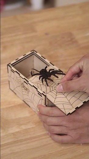 🕷️TS2 - 40 Router: Unleash Magic, Spider Box is Born!