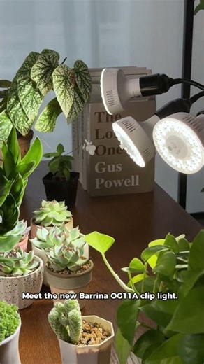 Light Up Your Desk Plant Game! 🌿