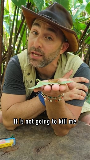 188K views · 1.2K reactions | The DANGEROUS Silk Moth Caterpillar! #nature #bravewilderness #wildlife #caterpillar | Brave Wilderness | Facebook