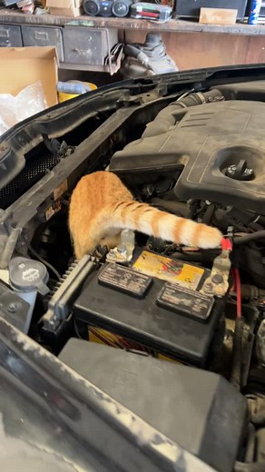 How to Fix a Car Dent: Troubleshooting Tips
