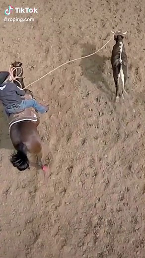 Practice… that’s how legends are made! Watch our practice sessions with Roping.com coaches: bit.ly/PracticeRuns #trevorbrazile #patricksmith #rodeo #kingofthecowboys #teamroping #teamroper #teamroperlife