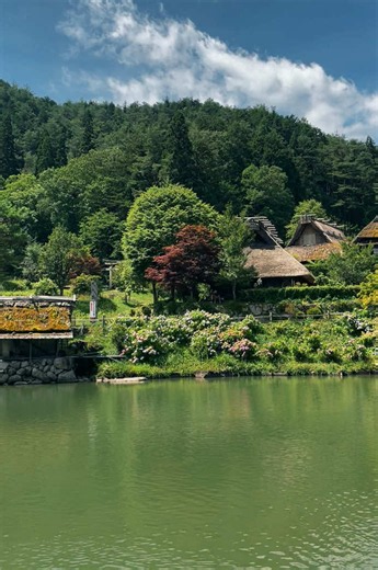 La aldea antigua de Shirakawago tiene un estupendo paisaje además de tener muchas historias interesantes. Has tu reserva ya que TokyonoMichi te hace este tour en Takayama #takayama #shirakawago #gifu #japan
