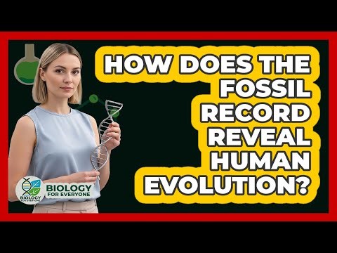 How Does The Fossil Record Reveal Human Evolution? - Biology For Everyone