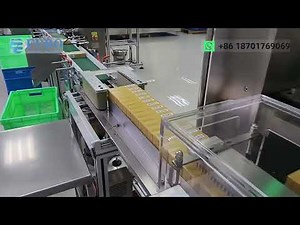 Industrial Servo Packaging Line | Full Automatic Bag & Box Packaging Solution | box packer line