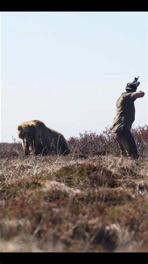 The Grizz, Death Wish, coming soon.