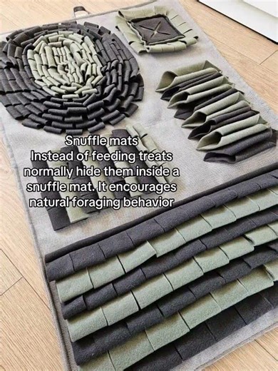 Things I recommend for indoor cats that actually keep them stimulated #indoorcat #cats #catparent