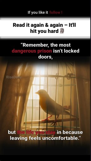The Most Dangerous Prison Isn’t Locked Doors #quotes #life