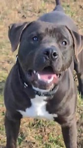 1.8K views · 46 reactions | #RunningIntoFriday with CLUTCH! Clutch...