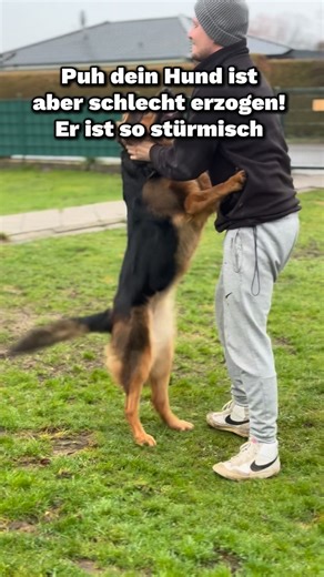 Vivienne Bauer on Instagram: "❌So nicht: Hunde übernehmen extrem stark die Dynamik wie man im Video gut sehen kann. Bist du selbst hektisch überträgt es sich. Außerdem: Finger weg vom Gesicht, das pusht extrem. ✅Probiers doch mal so: nicht von oben herab und sanfte und ruhige Bewegungen an der Brust. Am besten gelingt es auch den Hund aktiv (sobald man rein kommt ins Bett zu schicken, jetzt hast du Zeit anzukommen und die erste Aufregung geht erstmal flöten. Vielleicht kannst du deine Erfahrung 