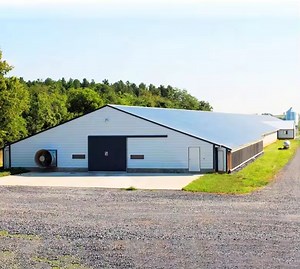 [Hot Item] Fast Installation Steel Structure Warehouse Farm Building