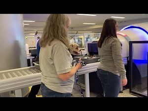 Watch: TSA shows how to properly get an animal through security