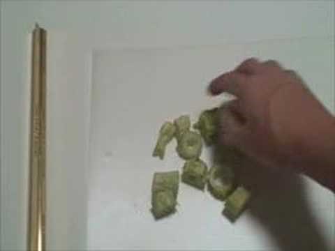 EatTheWeeds: Episode 11: Bull Thistle I