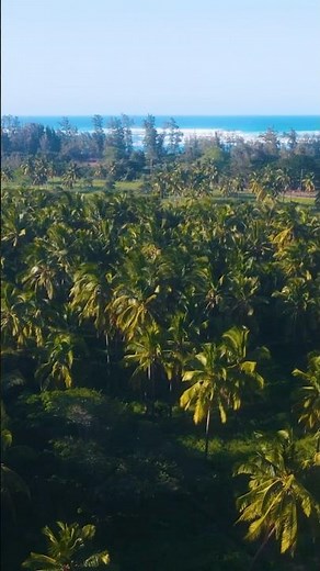 Unseen Hawaii: Explore Hidden Gems & Epic Landscapes by Drone #ExploreHawaii #DroneViews #paradise