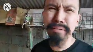 Motorstar Cafe 400 Full Review 🔥Lazada Moto Parts & Gear👇 https://c.lazada.com.ph/t/c.cDfO 🔥Primelube Engine Oil👇 💧Treatment: https://bit.ly/3IGWJ1V 🏍️Engine Oil: https://bit.ly/3qBAgxe 🔥Moto Clothing👇 https://bit.ly/3jcAxmi #zurcmoto #motorstar #cafe400 | ZURC MOTO