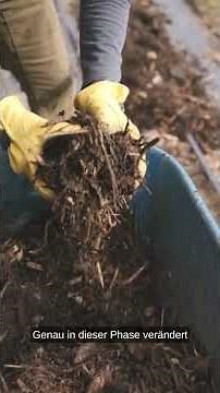 Compost explained simply: The 3 phases #garden #selfsufficiency #spring