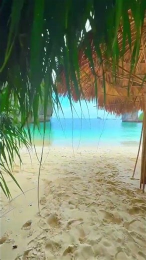 Experiencing the Allure of Thailand's Stunning Beaches