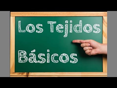 Conociendo Los Tejidos Básicos del Cuerpo Humano En 12 Minutos.