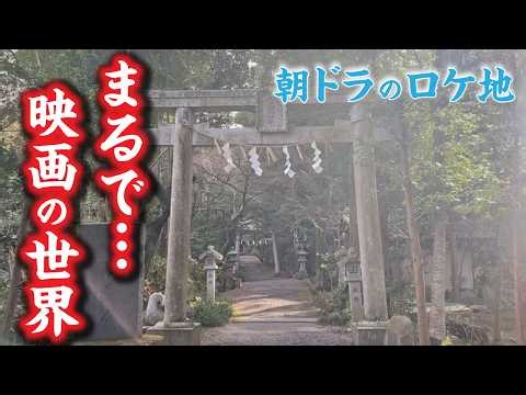 A shrine used as a filming location for an NHK morning drama | Walk through the grounds that look...
