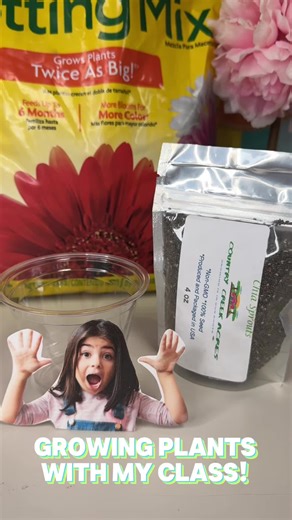 Interactive Plant Growing Activity for Students