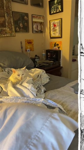 Stephanie Hariri (@stephaniehariri1)’s videos with Take on Me - a-ha